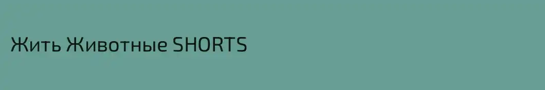 Жить Животные SHORTS